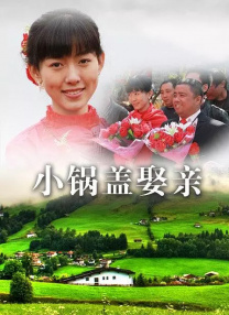 但有不少网友留言，认为夏奇拉造型“神似”她为《疯狂动物城》配音的角色。